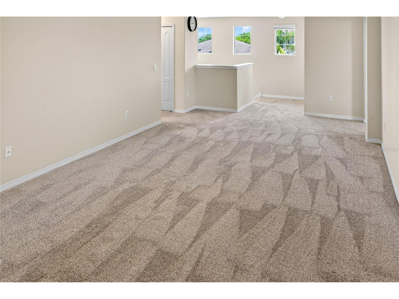 13415 White Sapphire Road Riverview FL 33579 TB8509518 image51