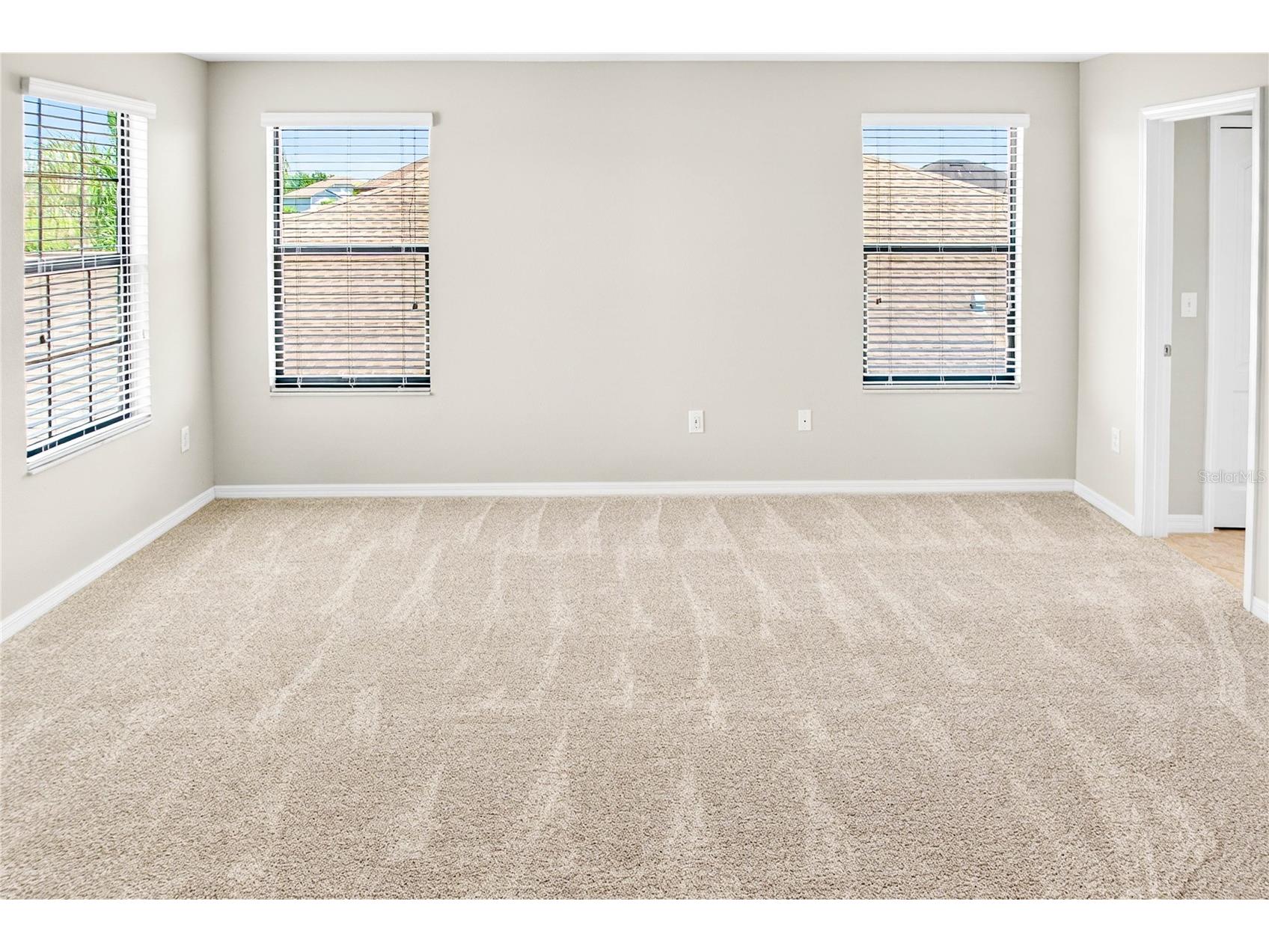13415 White Sapphire Road Riverview FL 33579 TB8509518 image52