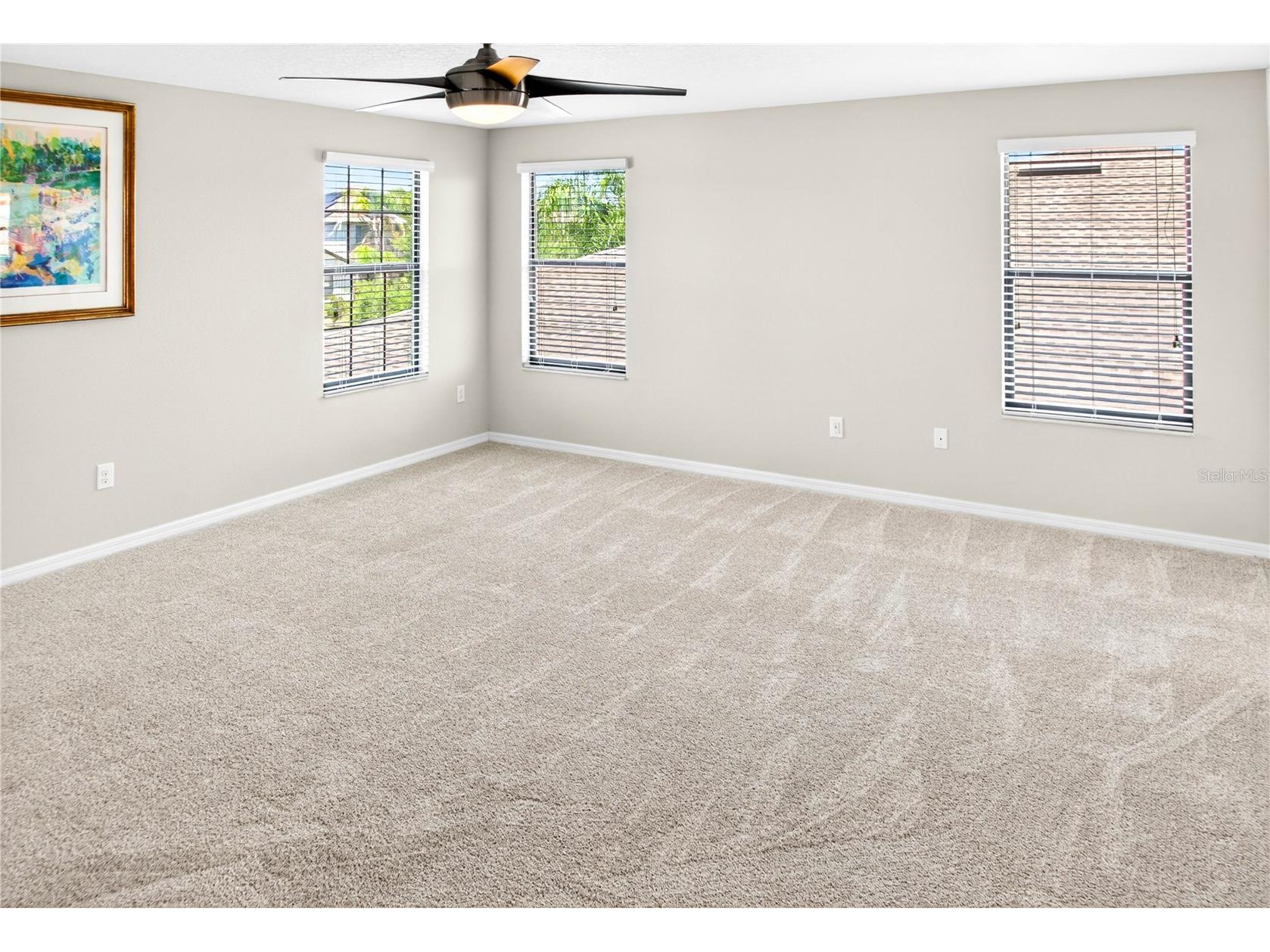 13415 White Sapphire Road Riverview FL 33579 TB8509518 image53