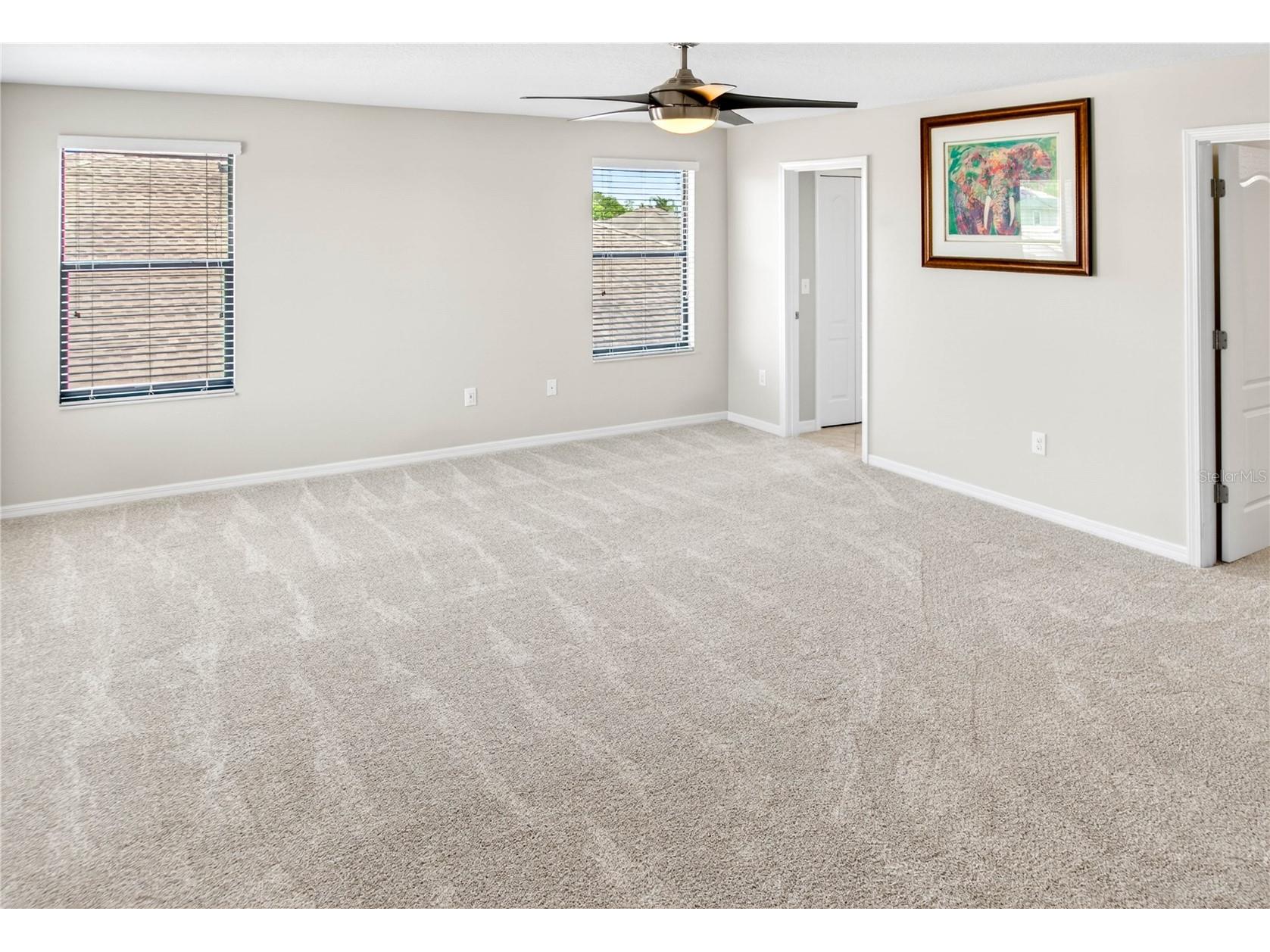 13415 White Sapphire Road Riverview FL 33579 TB8509518 image54