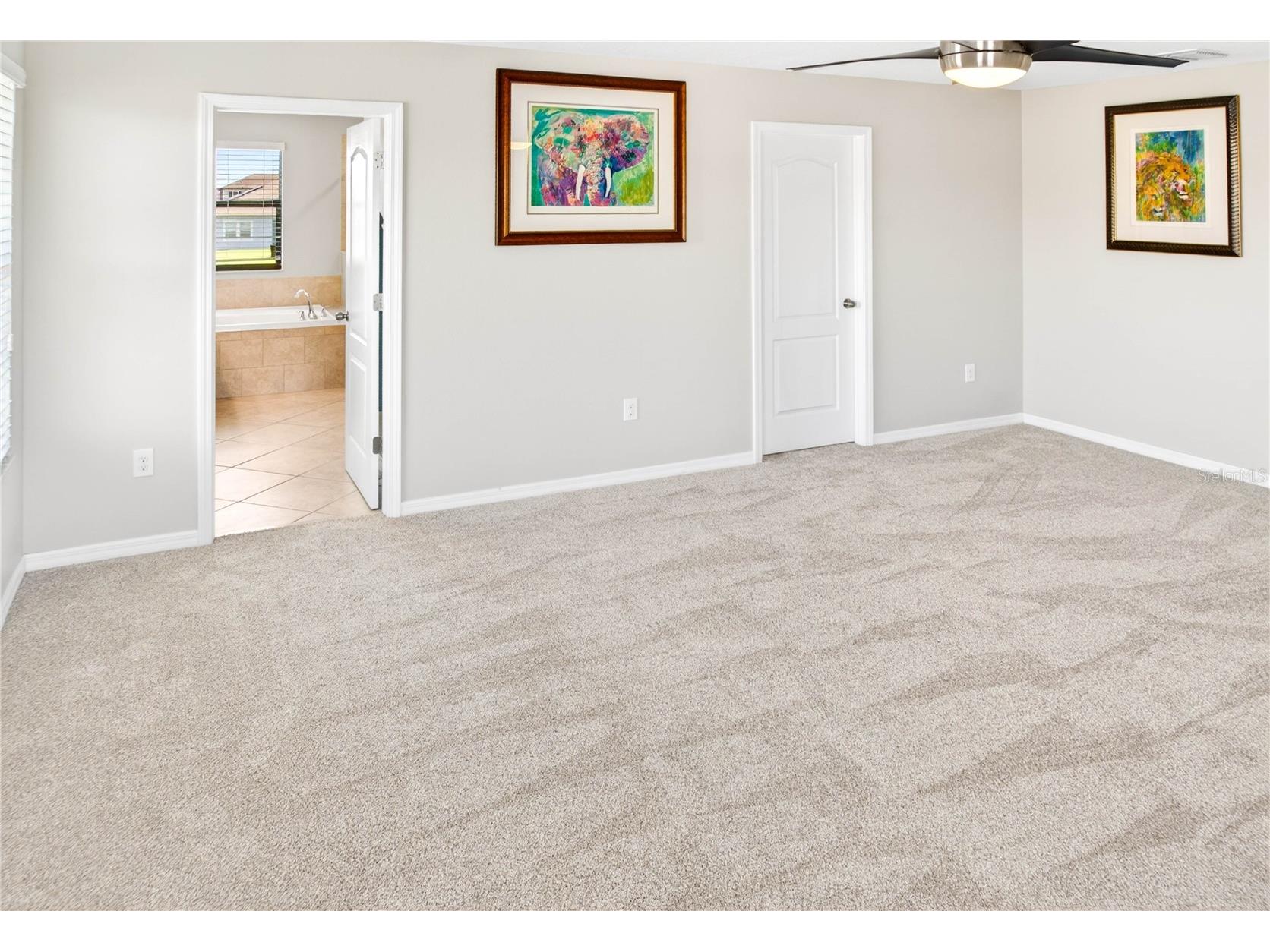 13415 White Sapphire Road Riverview FL 33579 TB8509518 image55