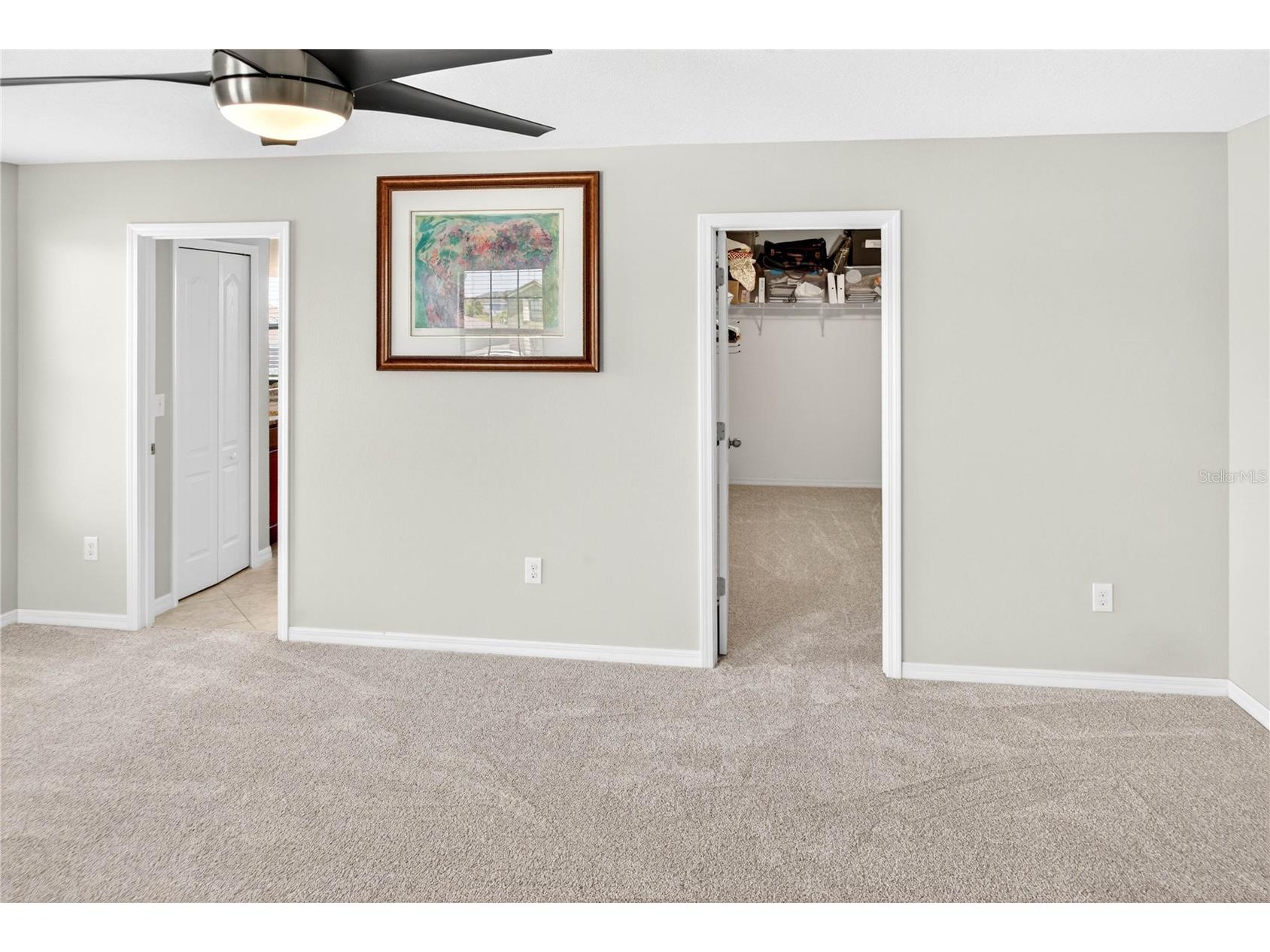 13415 White Sapphire Road Riverview FL 33579 TB8509518 image56