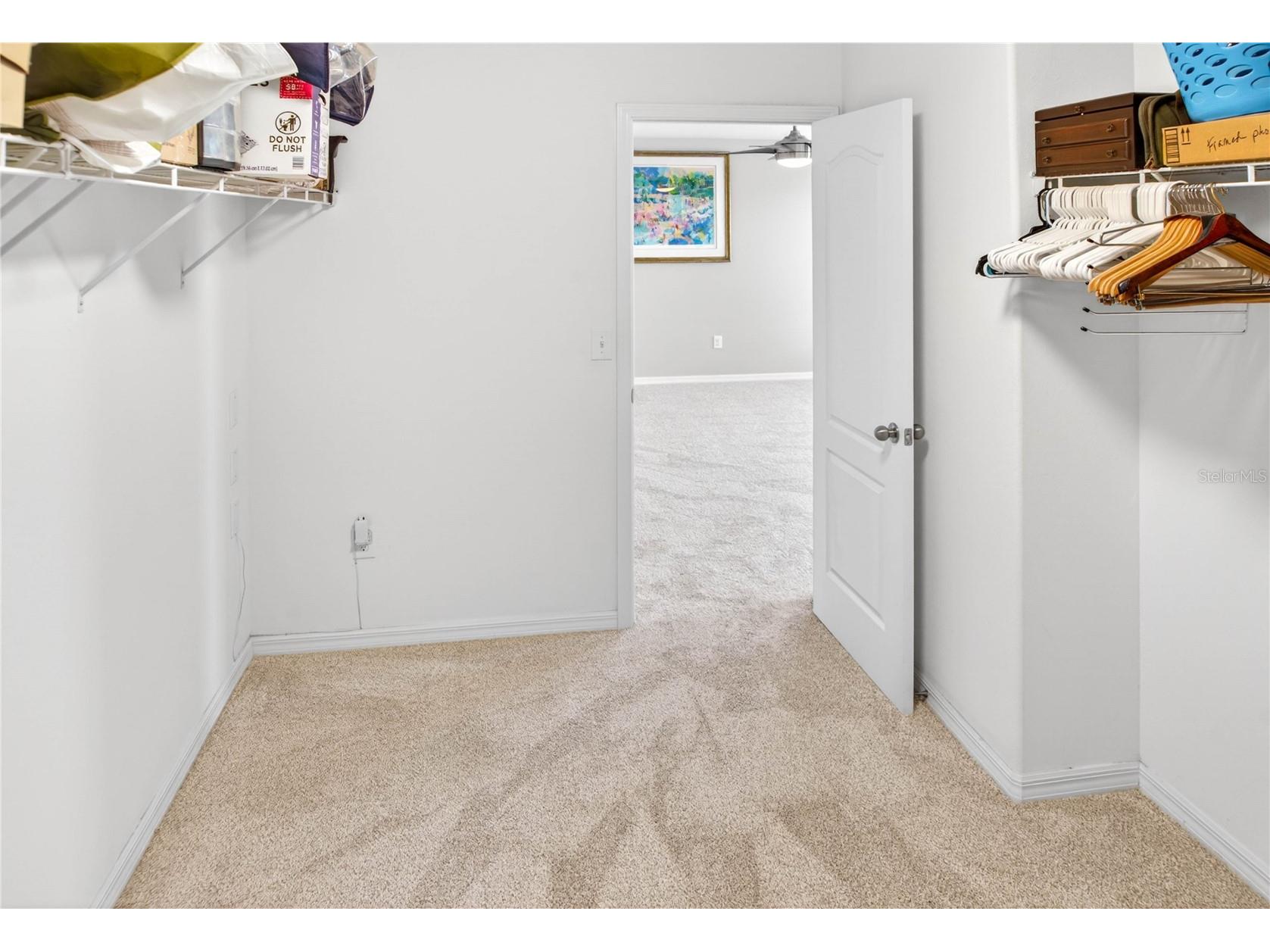 13415 White Sapphire Road Riverview FL 33579 TB8509518 image58
