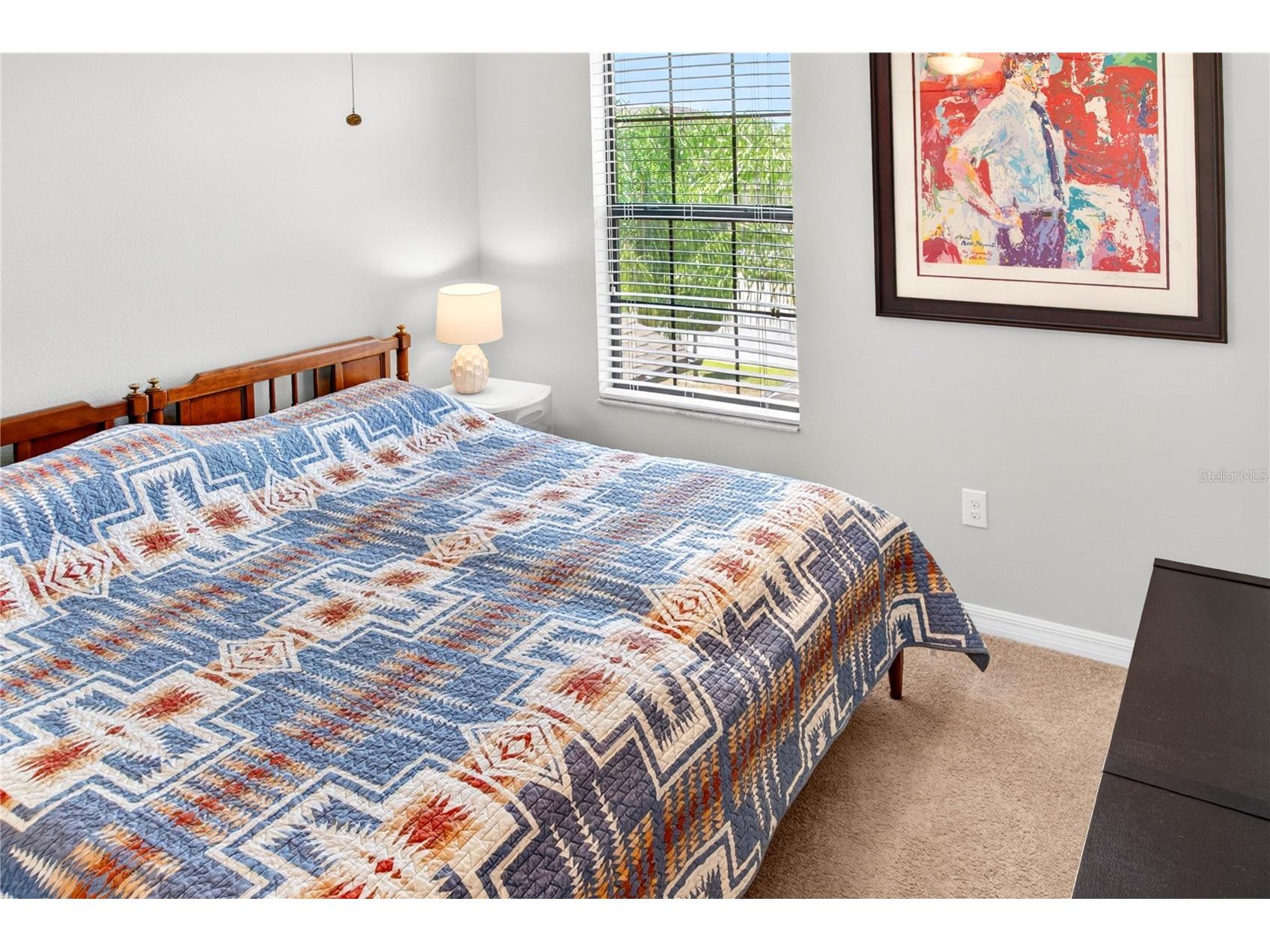 13415 White Sapphire Road Riverview FL 33579 TB8509518 image62