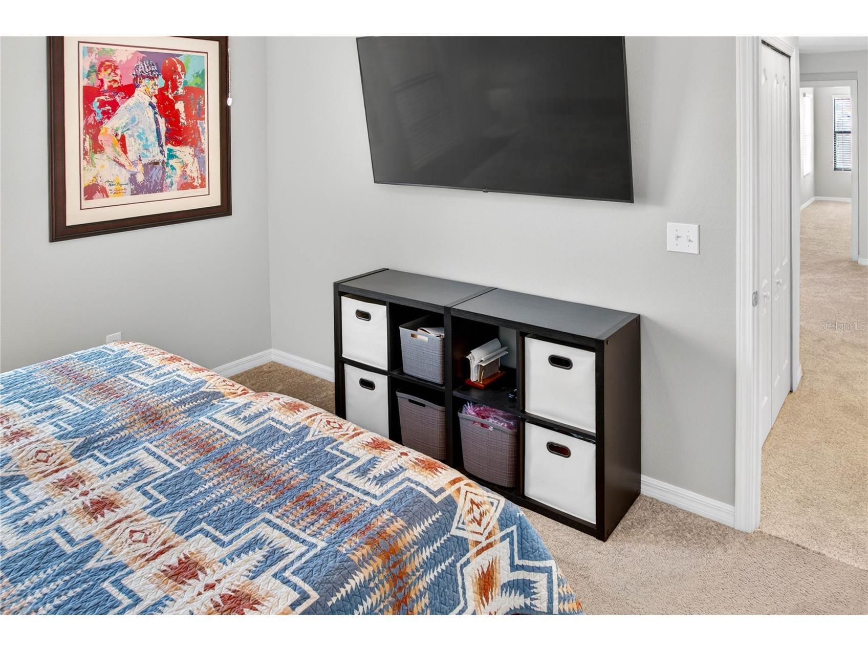13415 White Sapphire Road Riverview FL 33579 TB8509518 image63