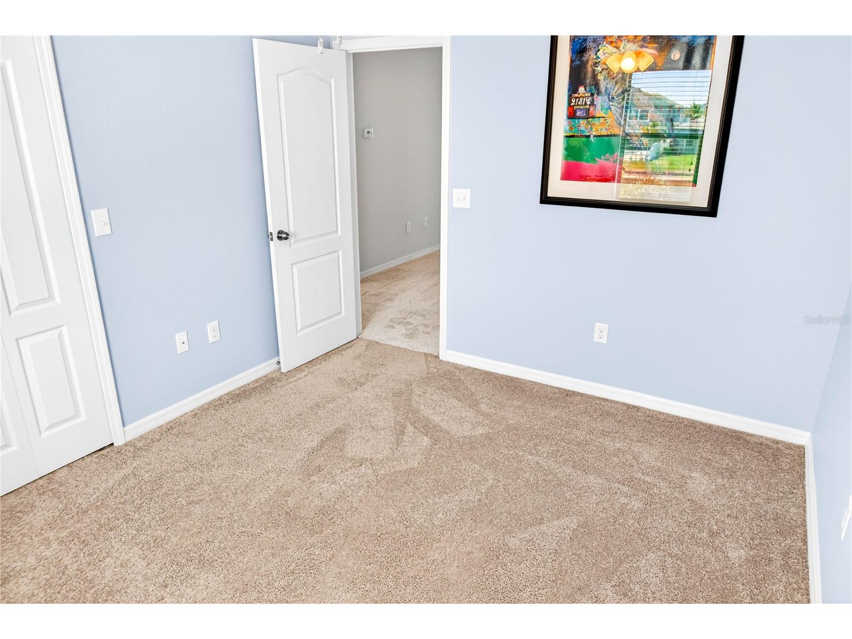 13415 White Sapphire Road Riverview FL 33579 TB8509518 image68