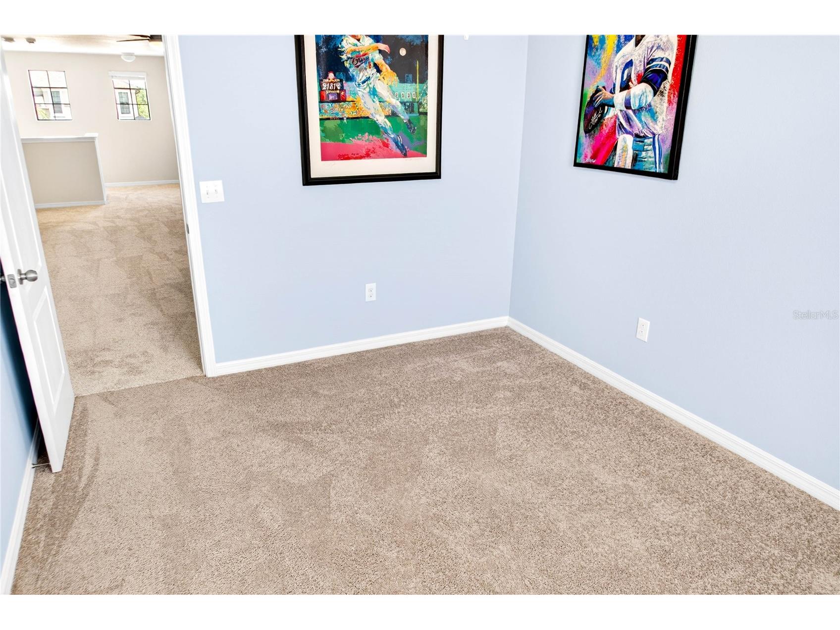 13415 White Sapphire Road Riverview FL 33579 TB8509518 image69