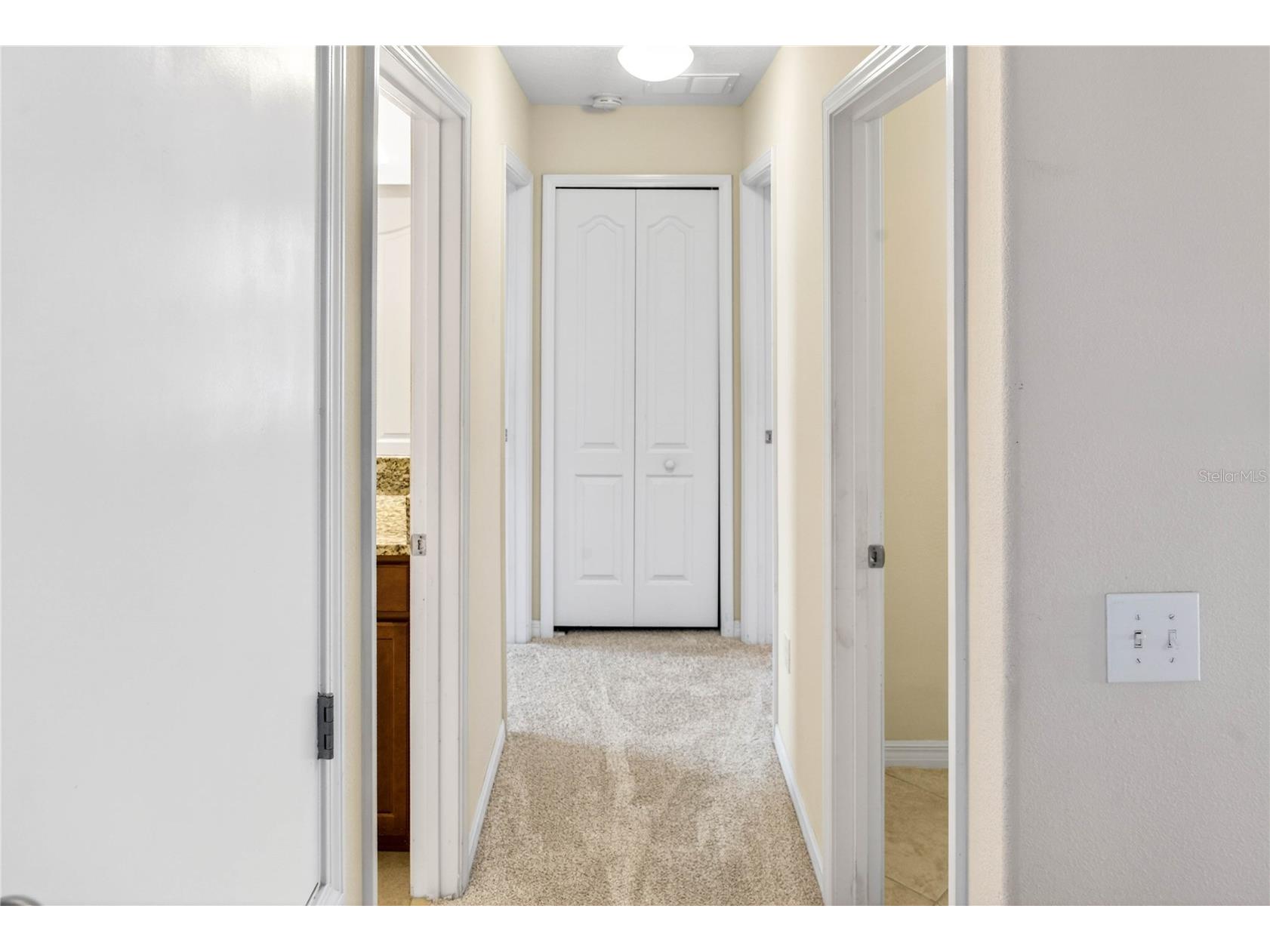 13415 White Sapphire Road Riverview FL 33579 TB8509518 image70