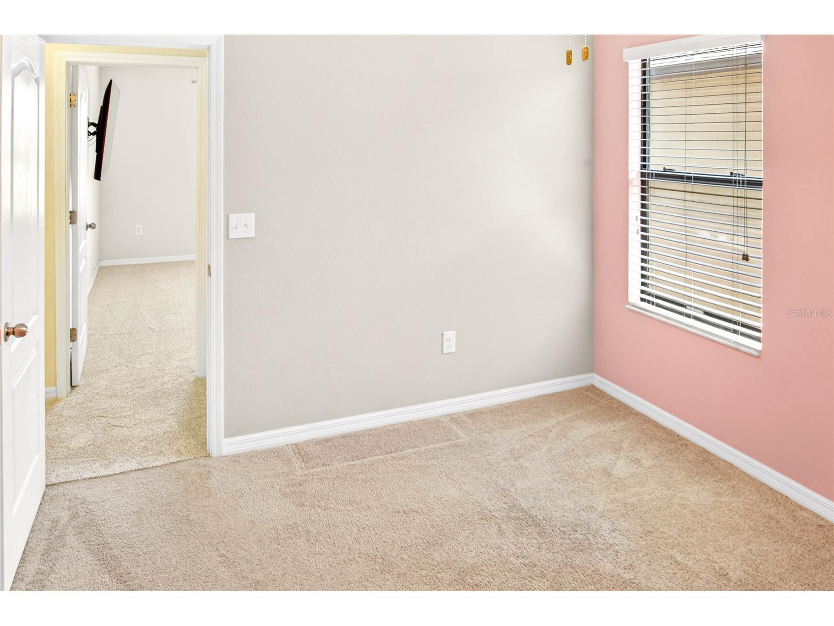 13415 White Sapphire Road Riverview FL 33579 TB8509518 image74