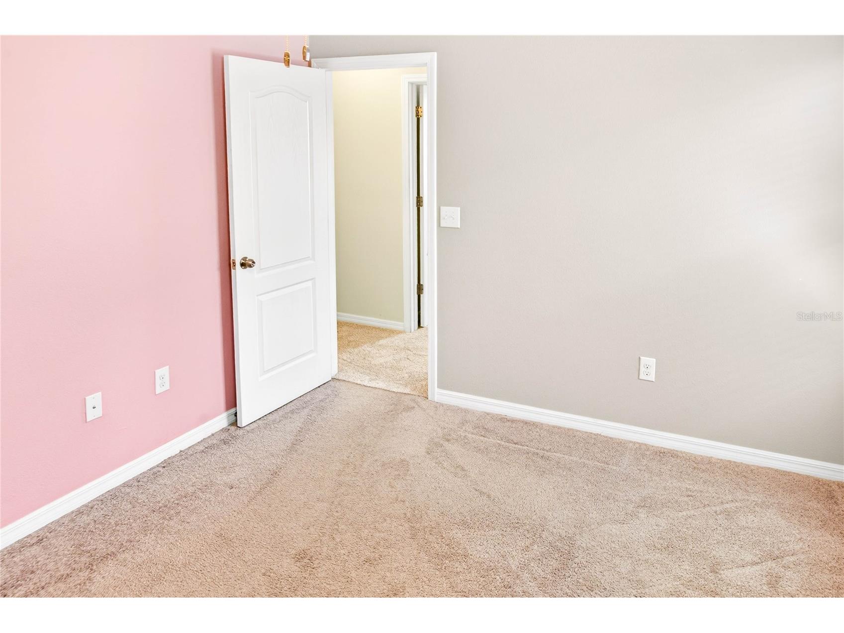 13415 White Sapphire Road Riverview FL 33579 TB8509518 image75