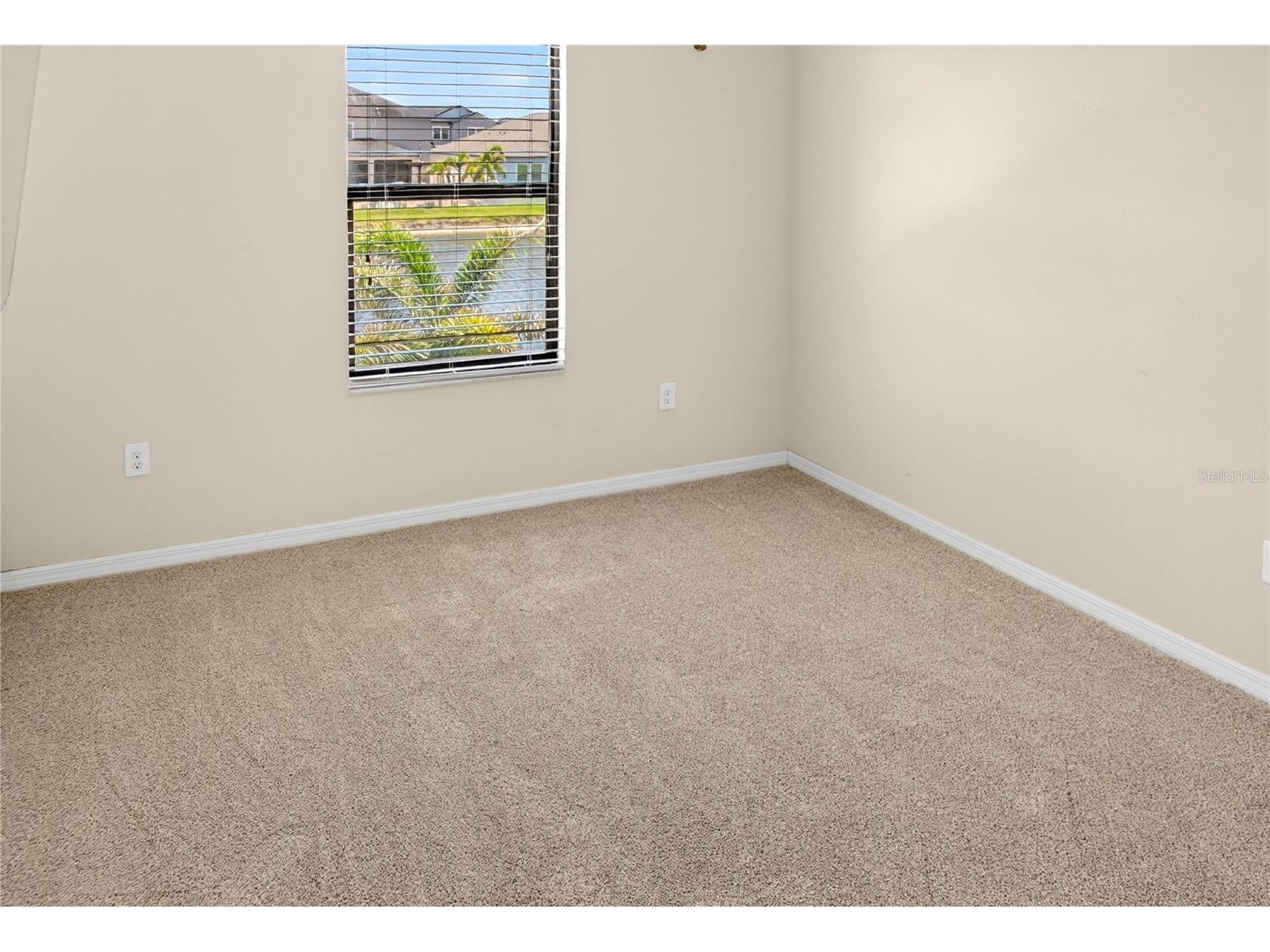 13415 White Sapphire Road Riverview FL 33579 TB8509518 image76