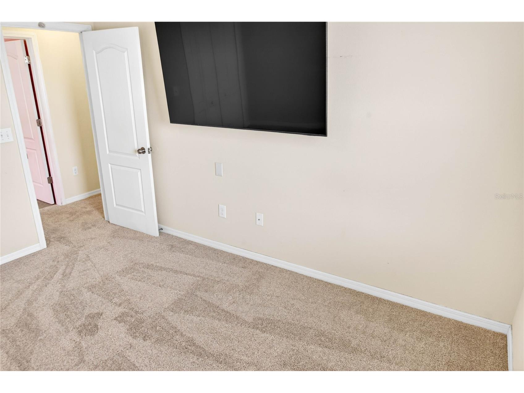 13415 White Sapphire Road Riverview FL 33579 TB8509518 image78
