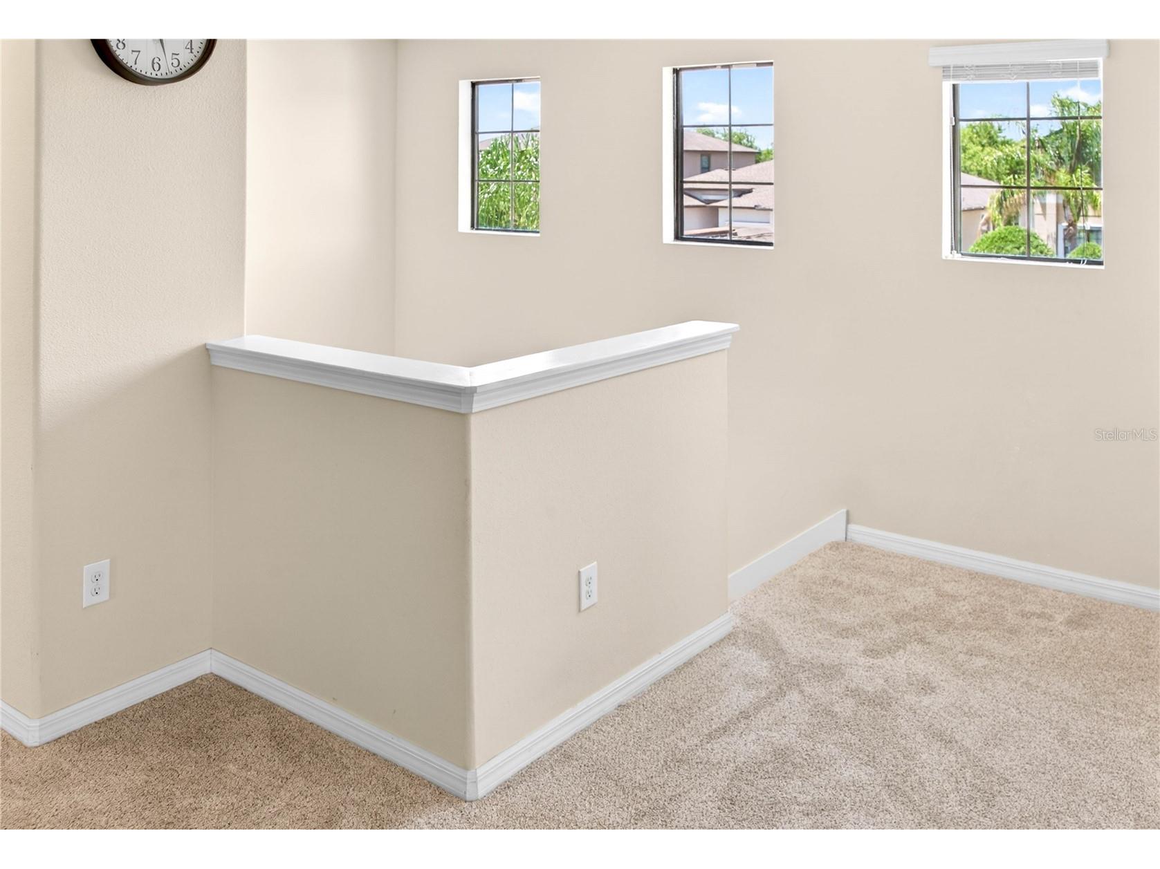 13415 White Sapphire Road Riverview FL 33579 TB8509518 image81
