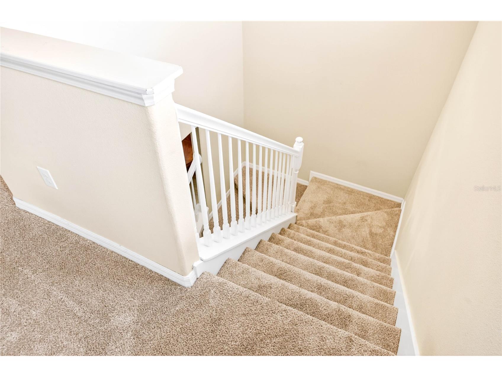13415 White Sapphire Road Riverview FL 33579 TB8509518 image82