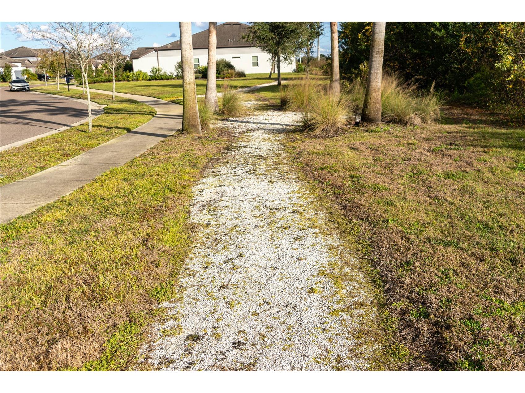 13415 White Sapphire Road Riverview FL 33579 TB8509518 image90