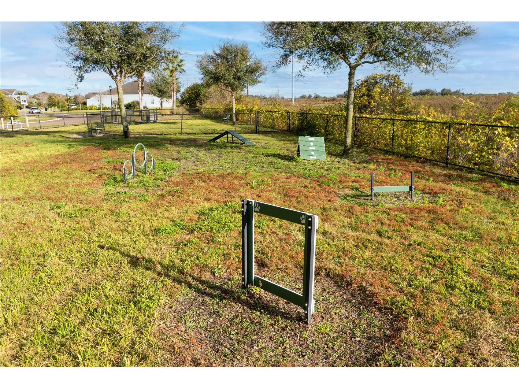 13415 White Sapphire Road Riverview FL 33579 TB8509518 image92
