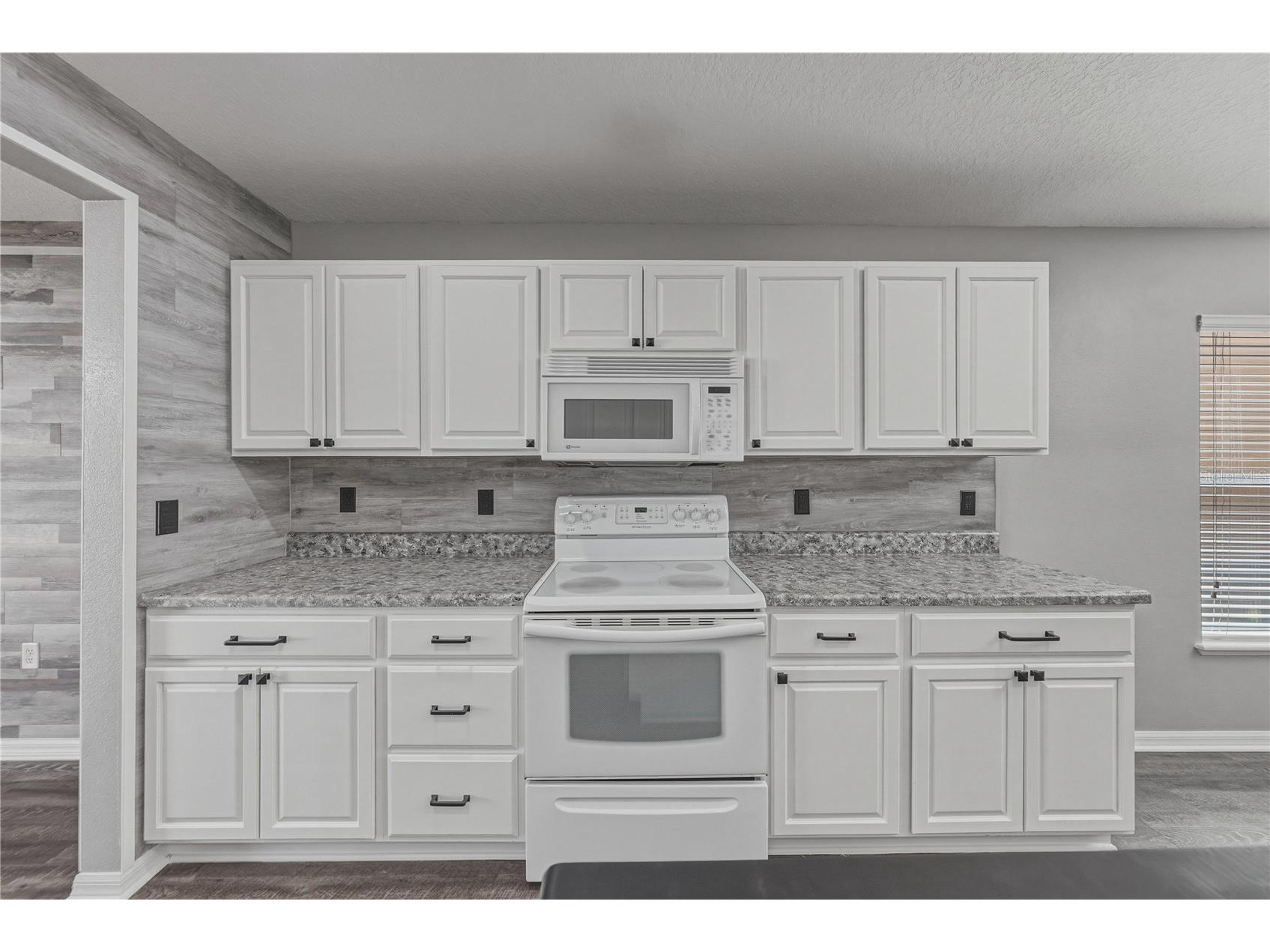 13416 Kent Bradley Street Dade City FL 33525 TB8484293 image15