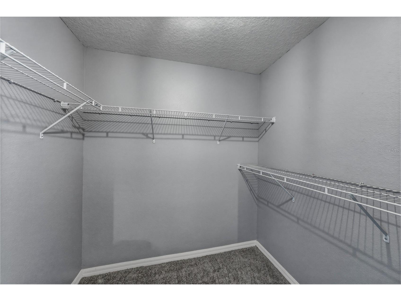 13416 Kent Bradley Street Dade City FL 33525 TB8484293 image42