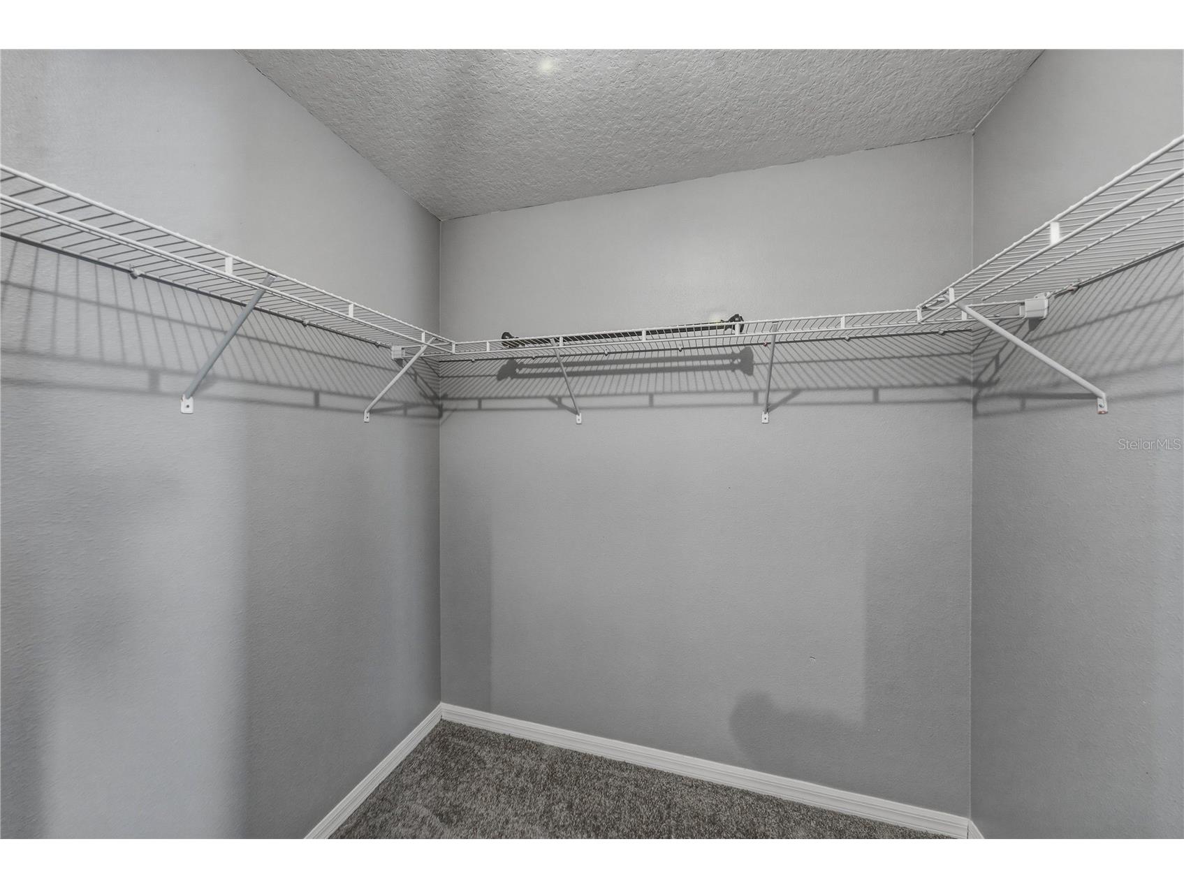 13416 Kent Bradley Street Dade City FL 33525 TB8484293 image43