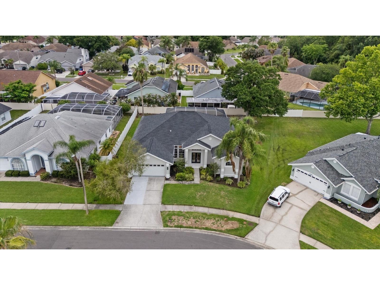 13417 Iola Drive Tampa FL 33626 TB8513867 image41