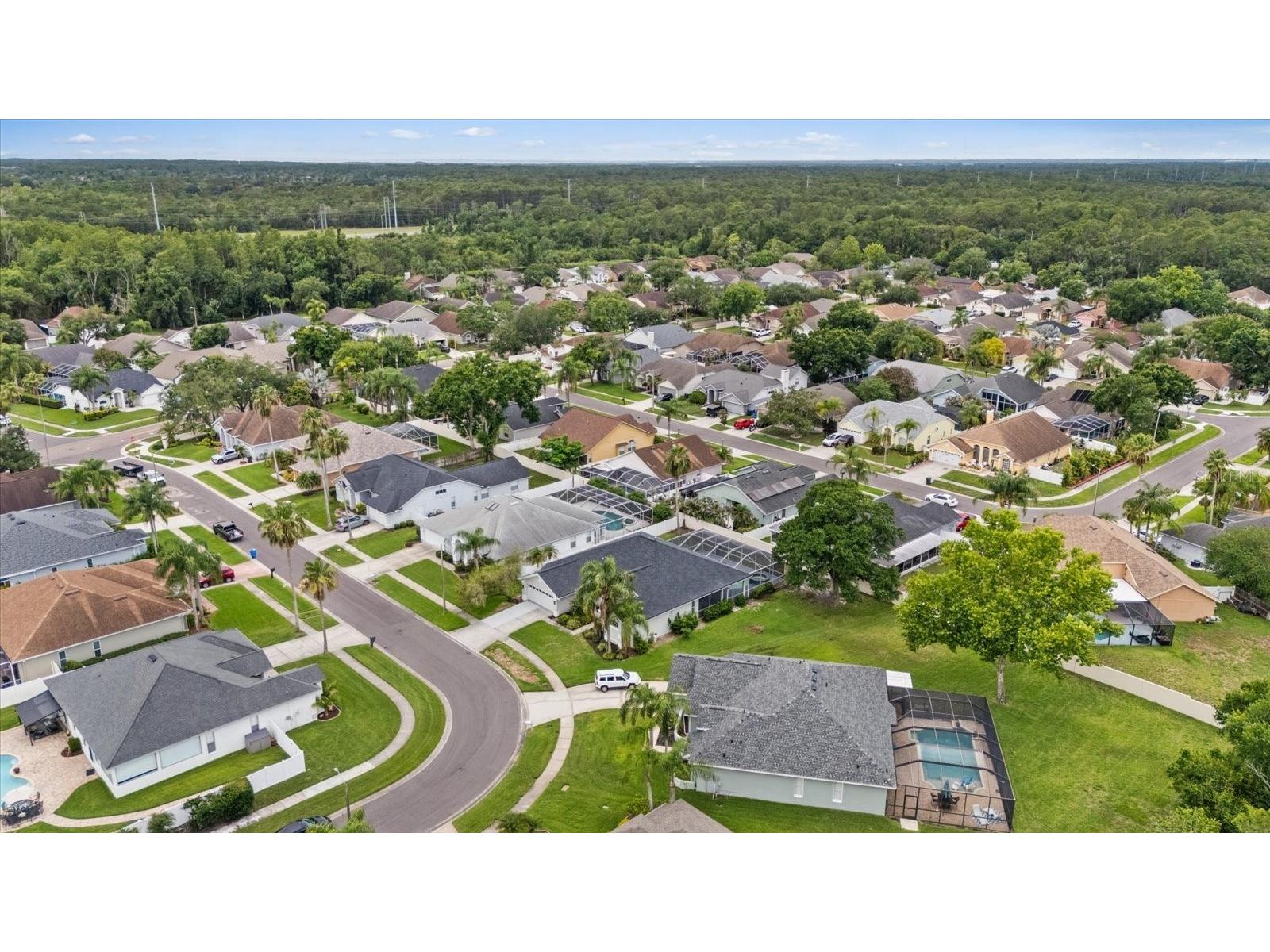 13417 Iola Drive Tampa FL 33626 TB8513867 image42
