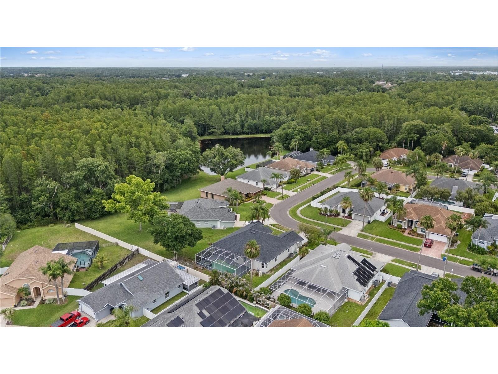 13417 Iola Drive Tampa FL 33626 TB8513867 image43