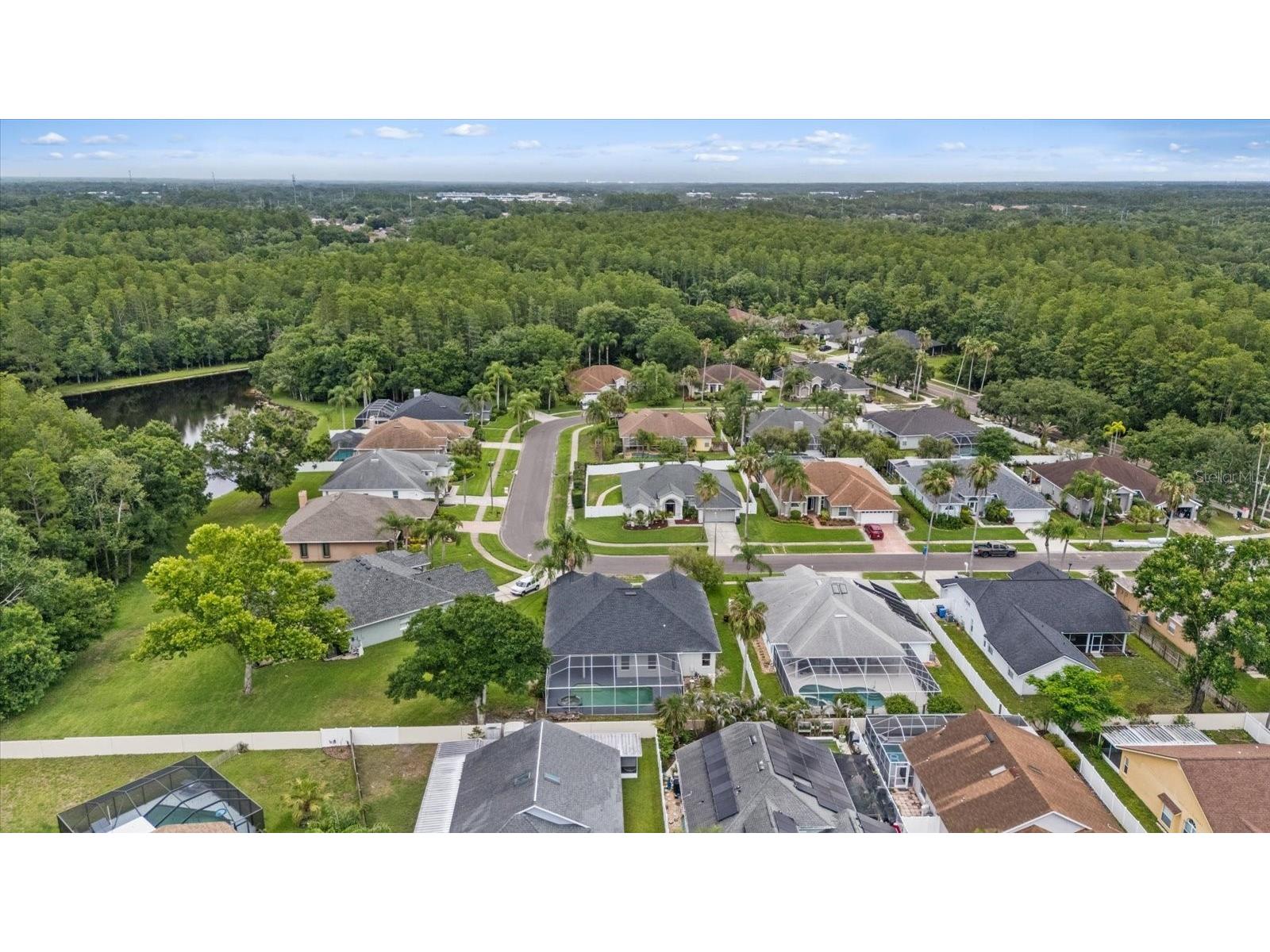 13417 Iola Drive Tampa FL 33626 TB8513867 image44