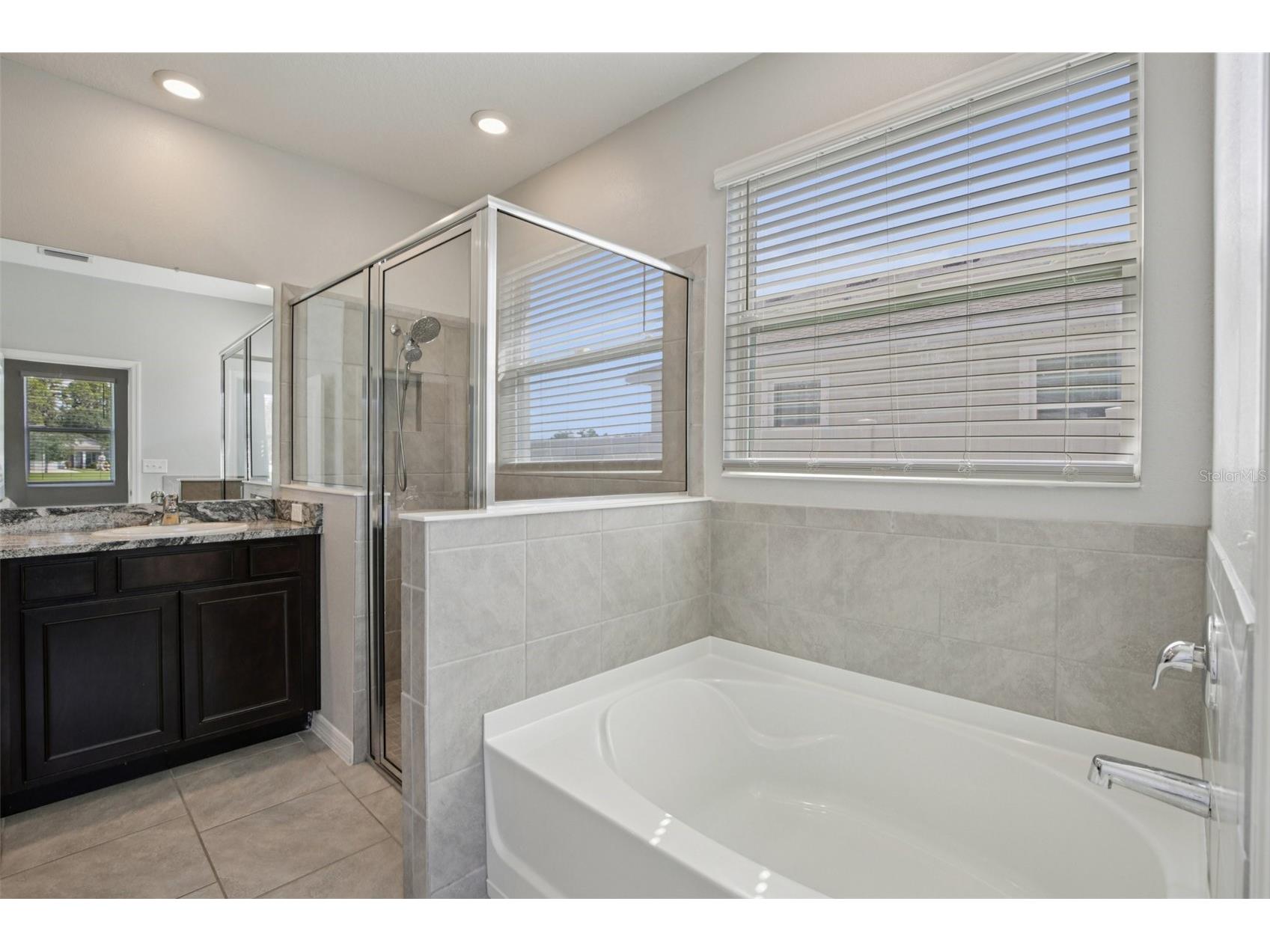 13417 Lakeview Oaks Lane Riverview FL 33579 TB8437631 image11