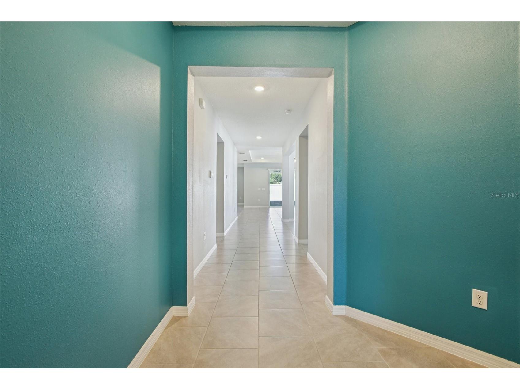 13417 Lakeview Oaks Lane Riverview FL 33579 TB8437631 image19