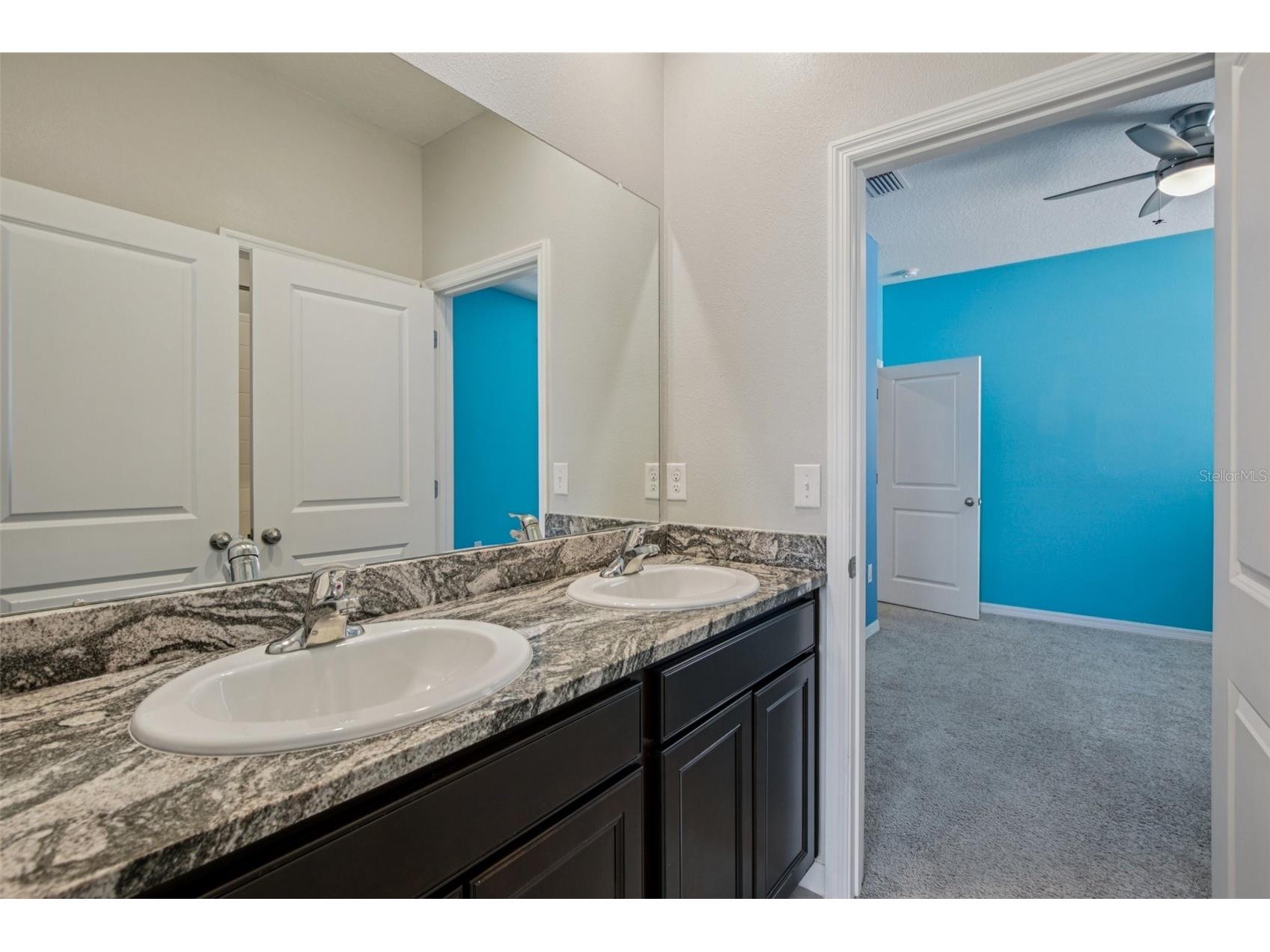 13417 Lakeview Oaks Lane Riverview FL 33579 TB8437631 image24