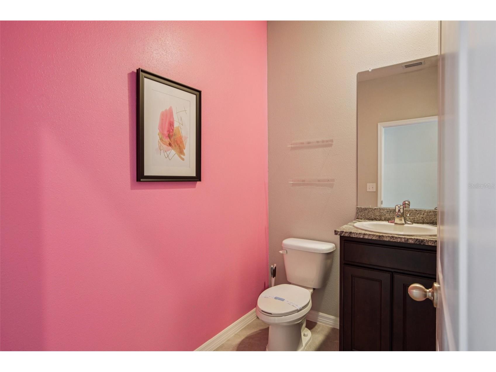 13417 Lakeview Oaks Lane Riverview FL 33579 TB8437631 image28