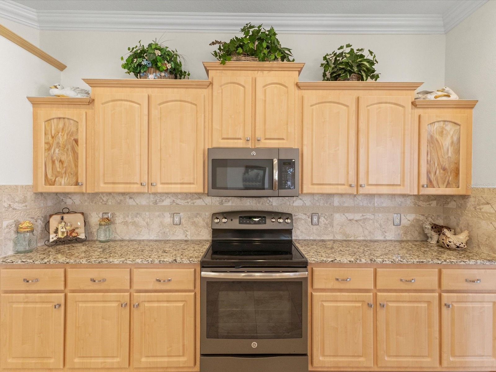 13417 Whitehaven Court Spring Hill FL 34609 TB8475711 image6