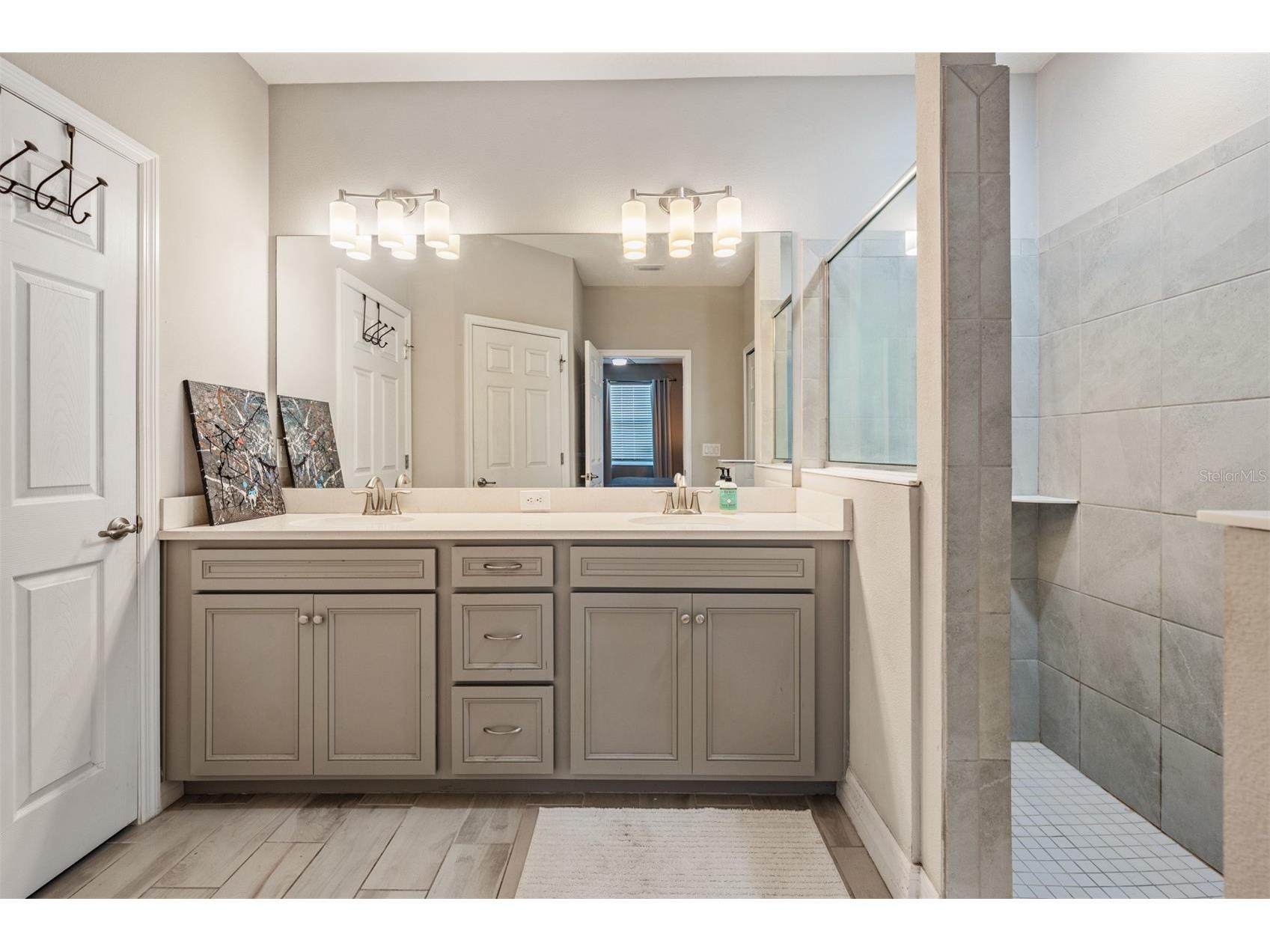 13418 Lakeview Oaks Lane Riverview FL 33579 TB8510241 image21