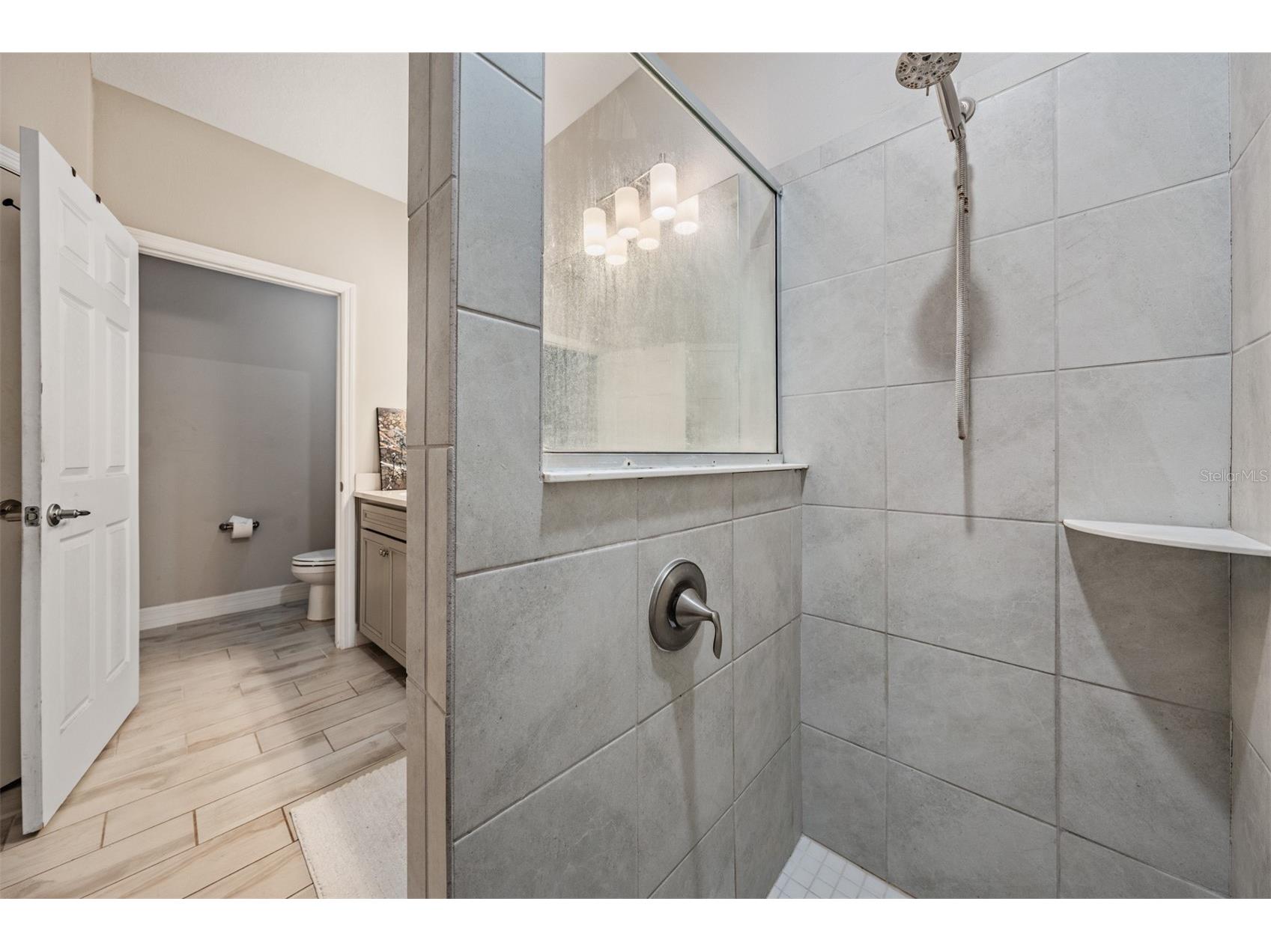 13418 Lakeview Oaks Lane Riverview FL 33579 TB8510241 image23