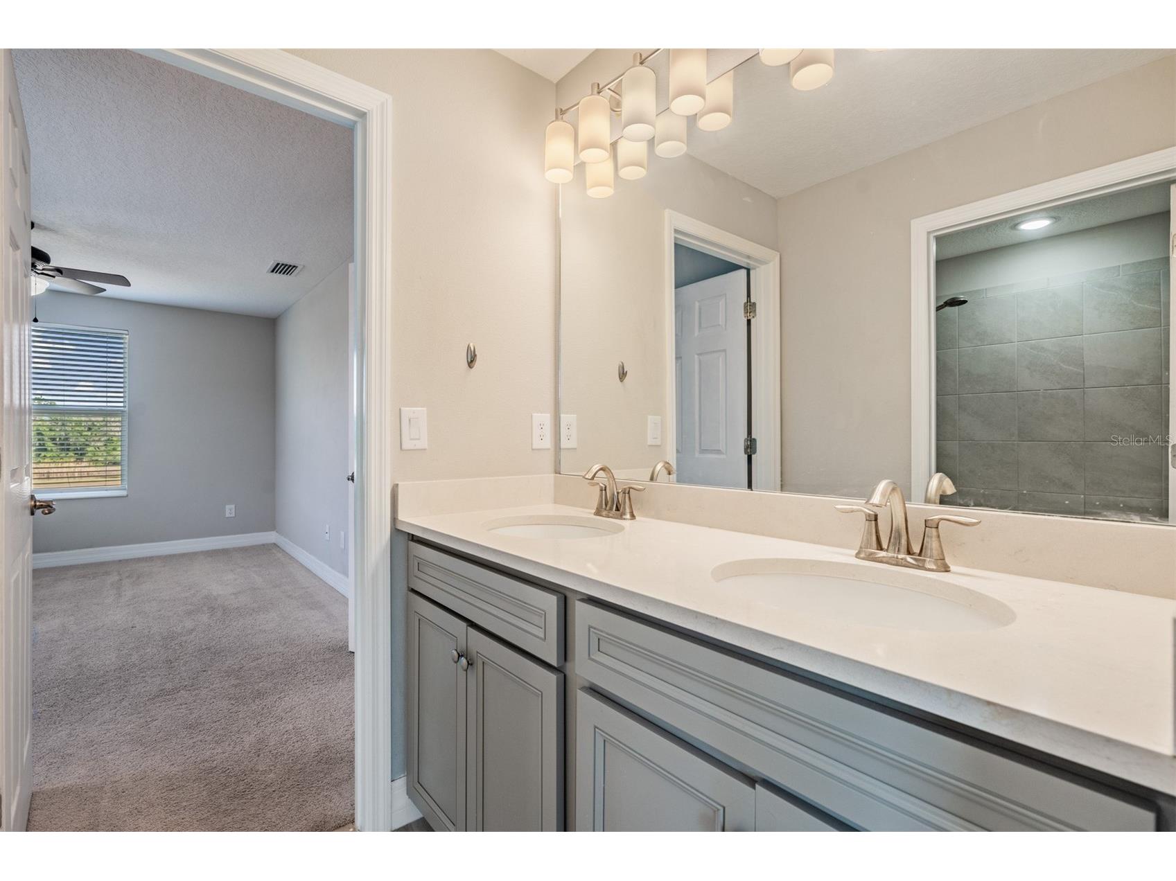 13418 Lakeview Oaks Lane Riverview FL 33579 TB8510241 image29