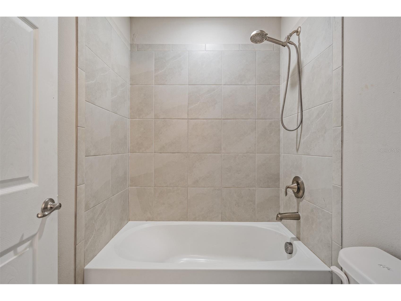 13418 Lakeview Oaks Lane Riverview FL 33579 TB8510241 image30