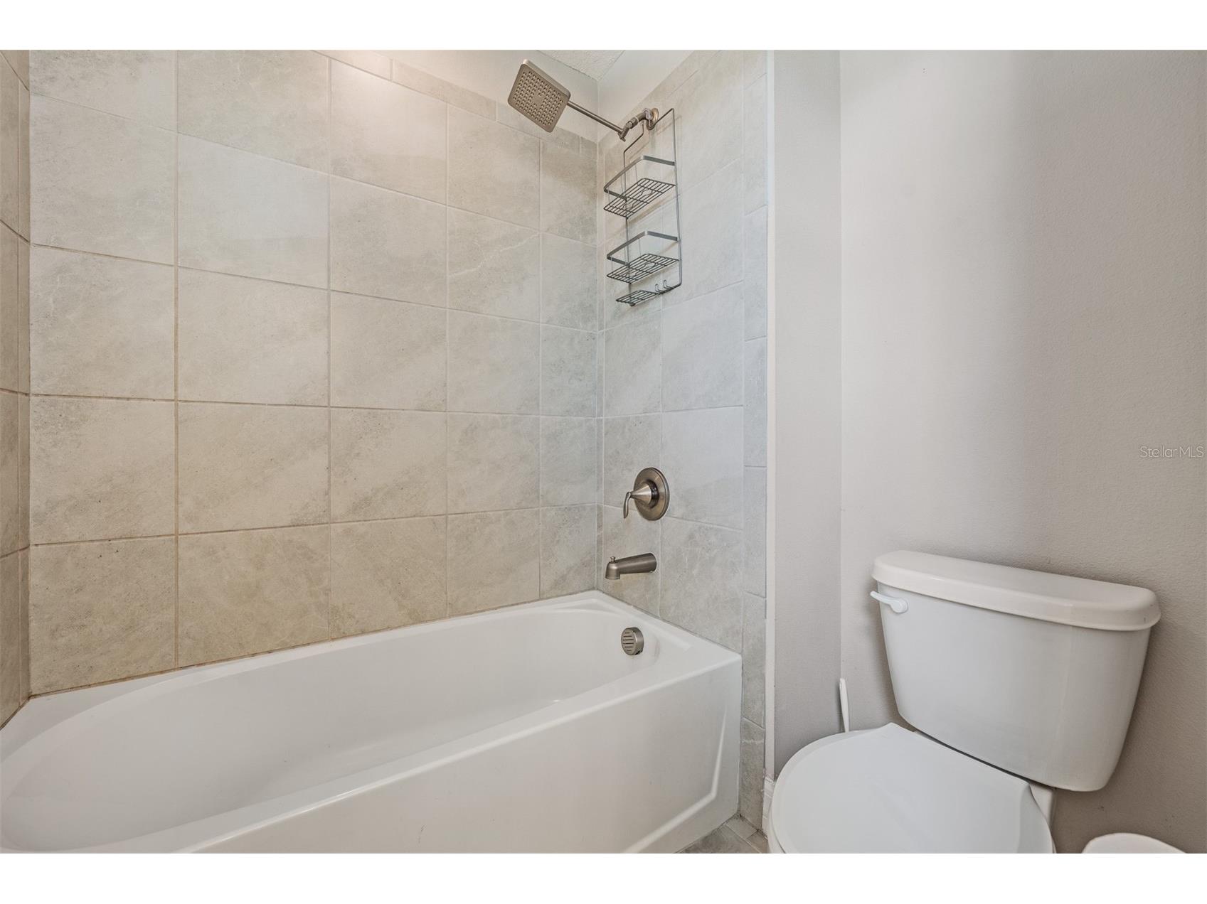 13418 Lakeview Oaks Lane Riverview FL 33579 TB8510241 image34