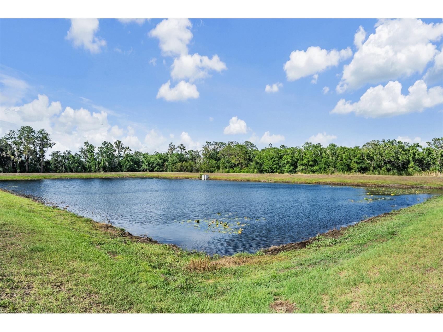 13418 Lakeview Oaks Lane Riverview FL 33579 TB8510241 image39