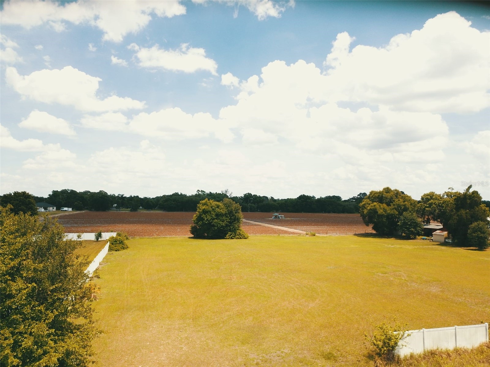 13419 Cocopah Lane Dover FL 33527 TB8505079 image1