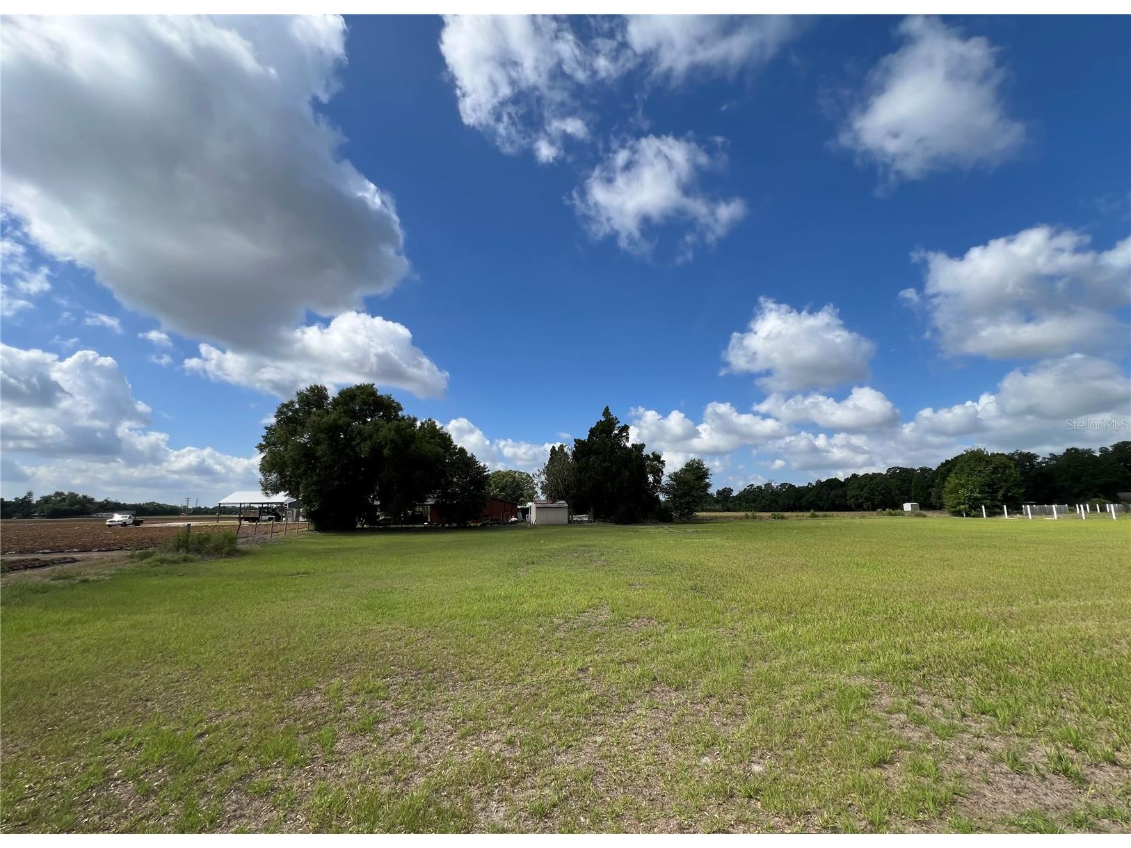 13419 Cocopah Lane Dover FL 33527 TB8505079 image3