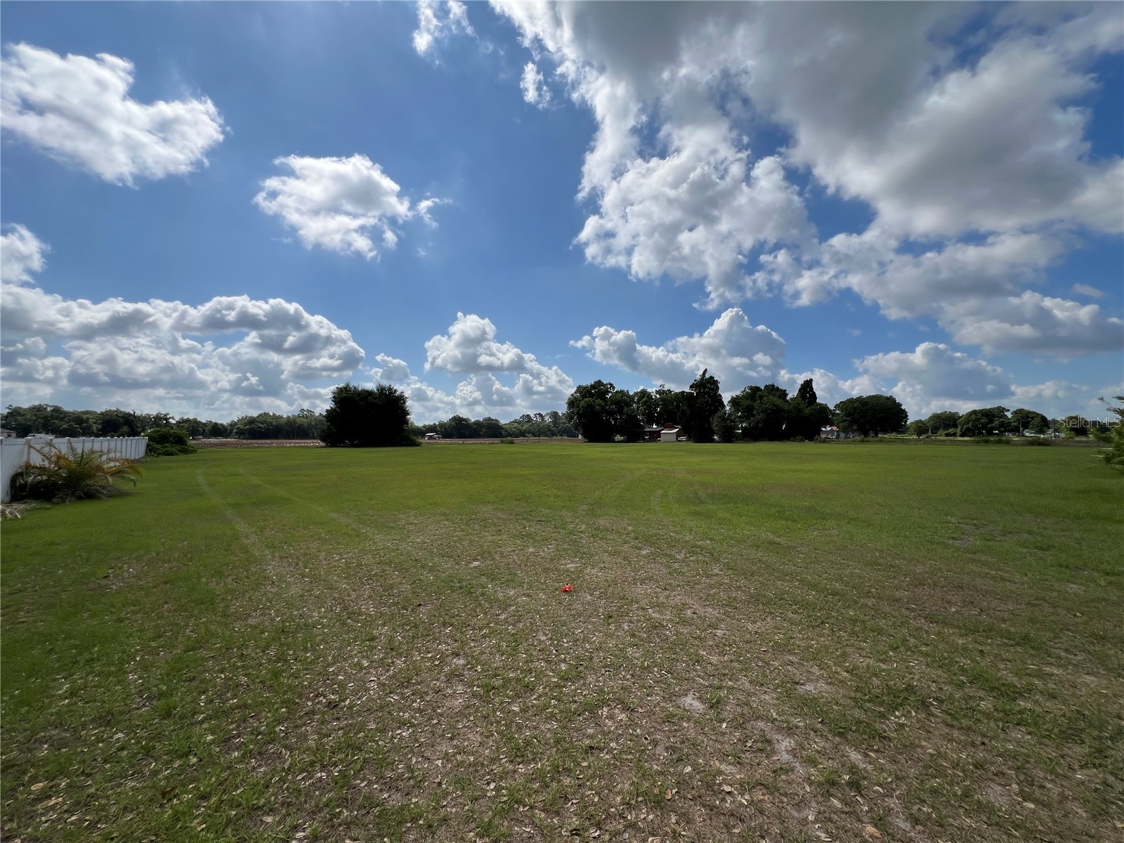 13419 Cocopah Lane Dover FL 33527 TB8505079 image4