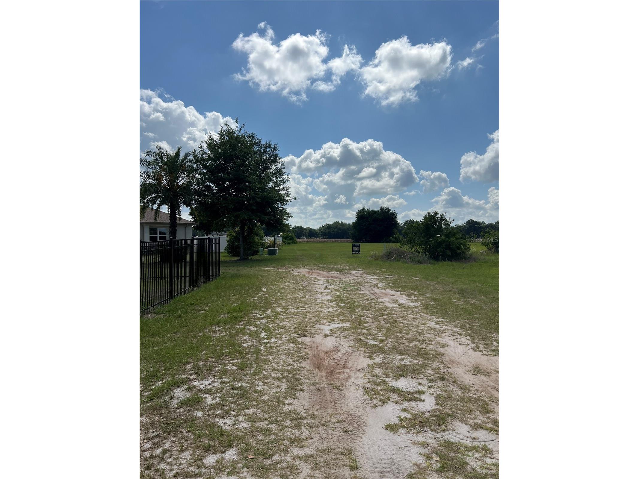 13419 Cocopah Lane Dover FL 33527 TB8505079 image6