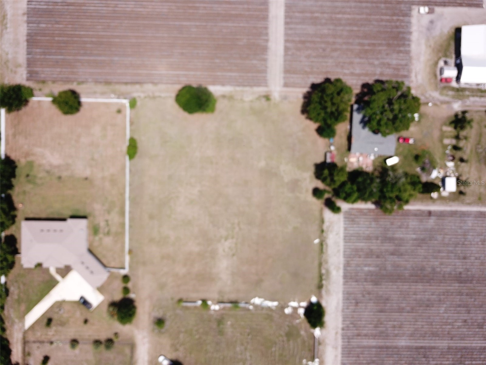 13419 Cocopah Lane Dover FL 33527 TB8505079 image9