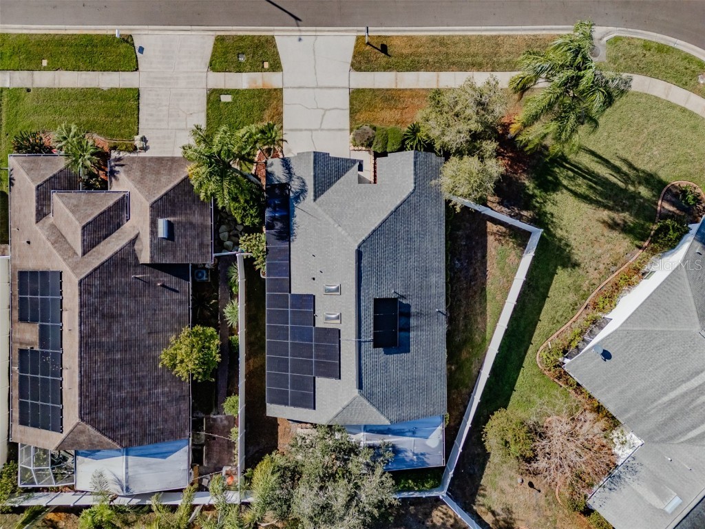 13419 Eudora Place Tampa FL 33626 TB8453588 image5