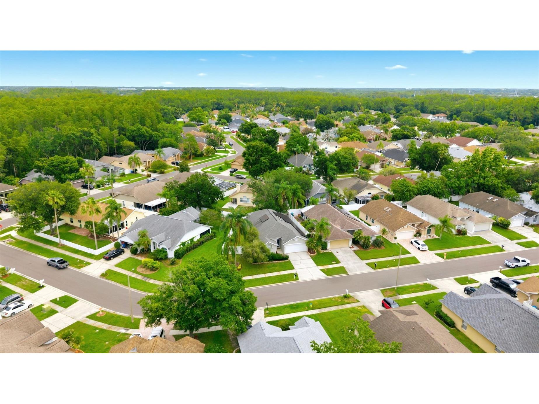 13419 Eudora Place Tampa FL 33626 TB8515466 image24