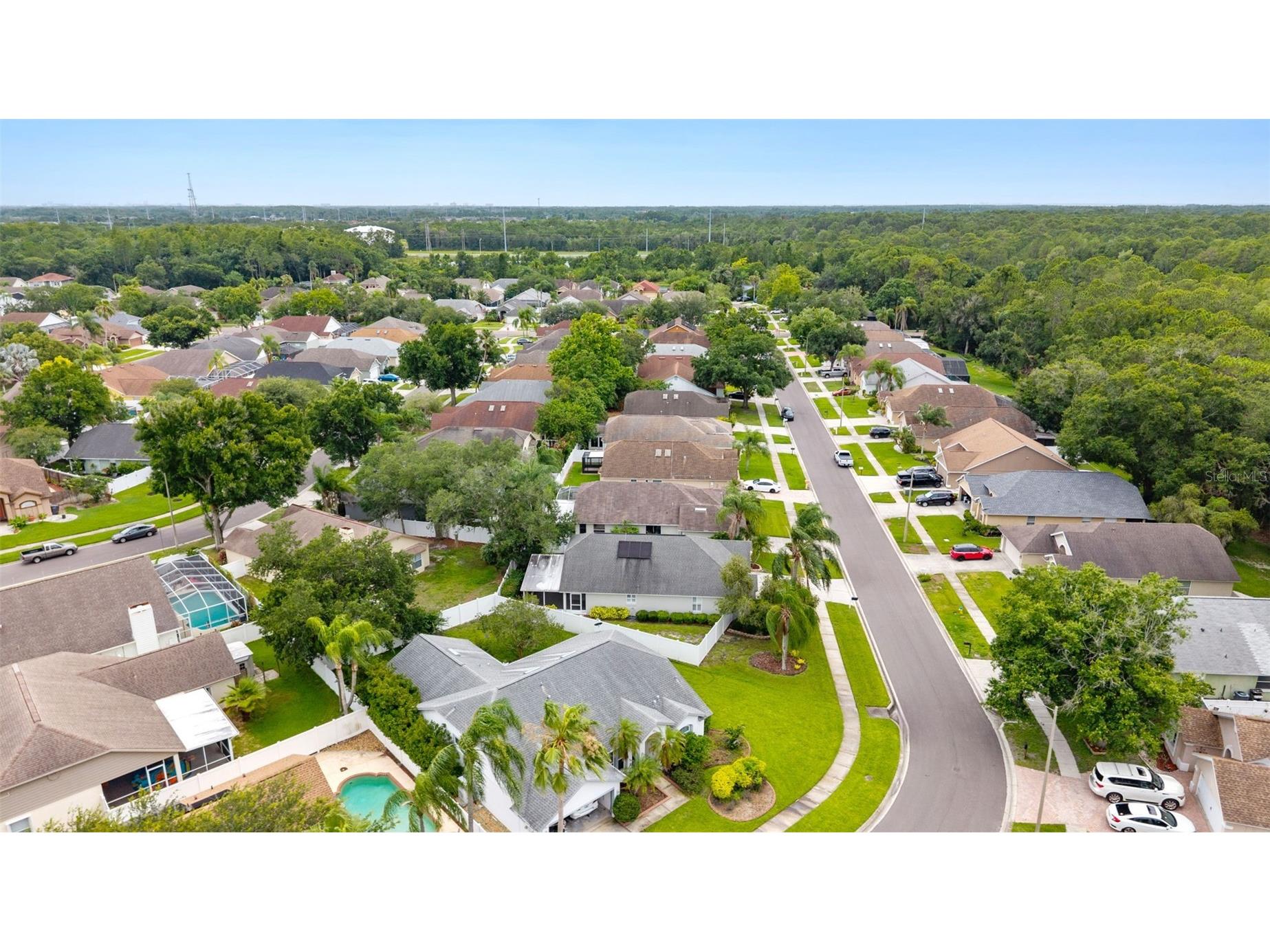 13419 Eudora Place Tampa FL 33626 TB8515466 image25