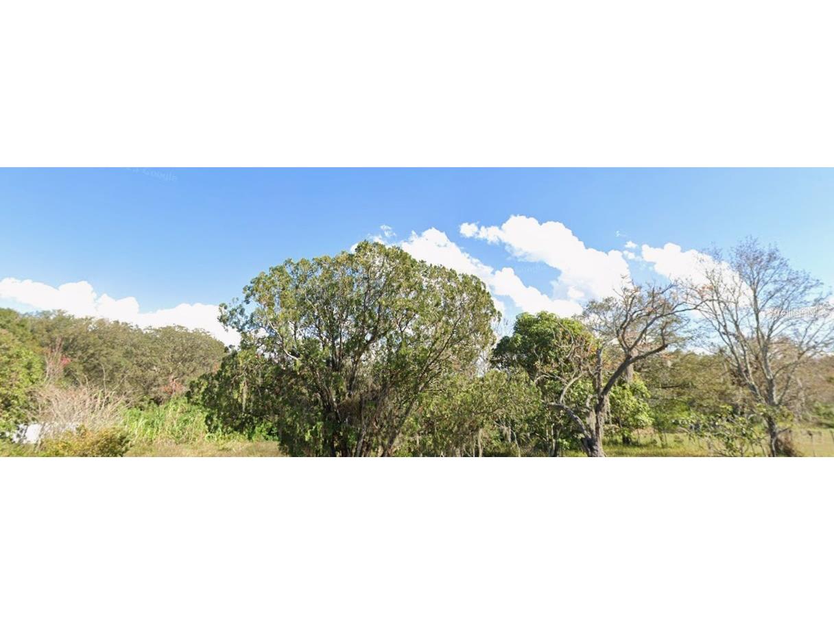 1342 Avalon Road Winter Garden FL 34787 O6365453 image1