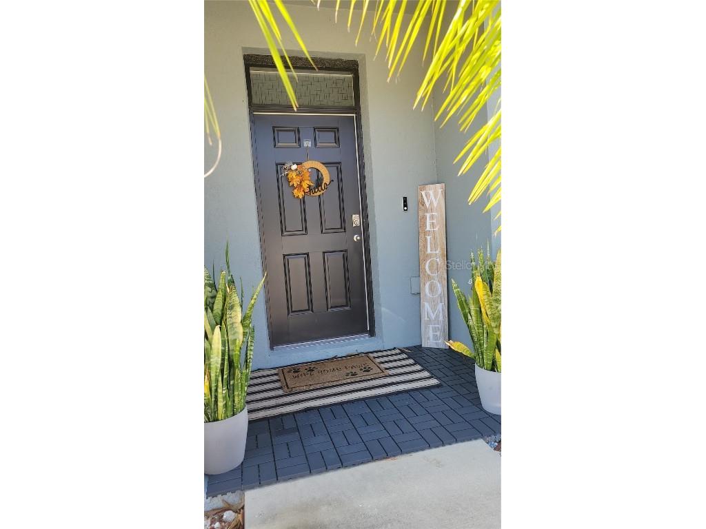 1342 Colt Creek Place Wesley Chapel FL 33543 TB8461911 image1