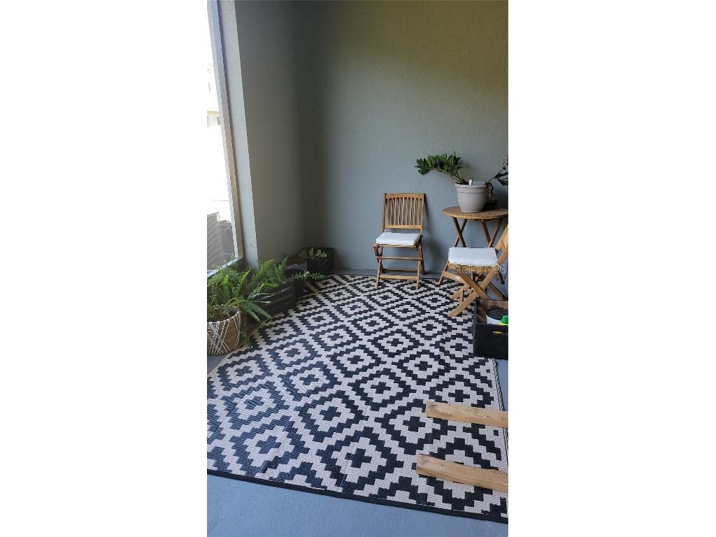 1342 Colt Creek Place Wesley Chapel FL 33543 TB8461911 image11