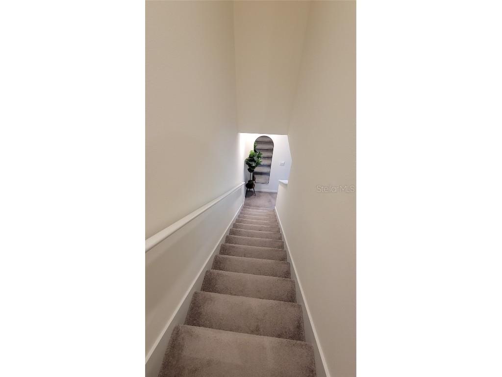 1342 Colt Creek Place Wesley Chapel FL 33543 TB8461911 image14